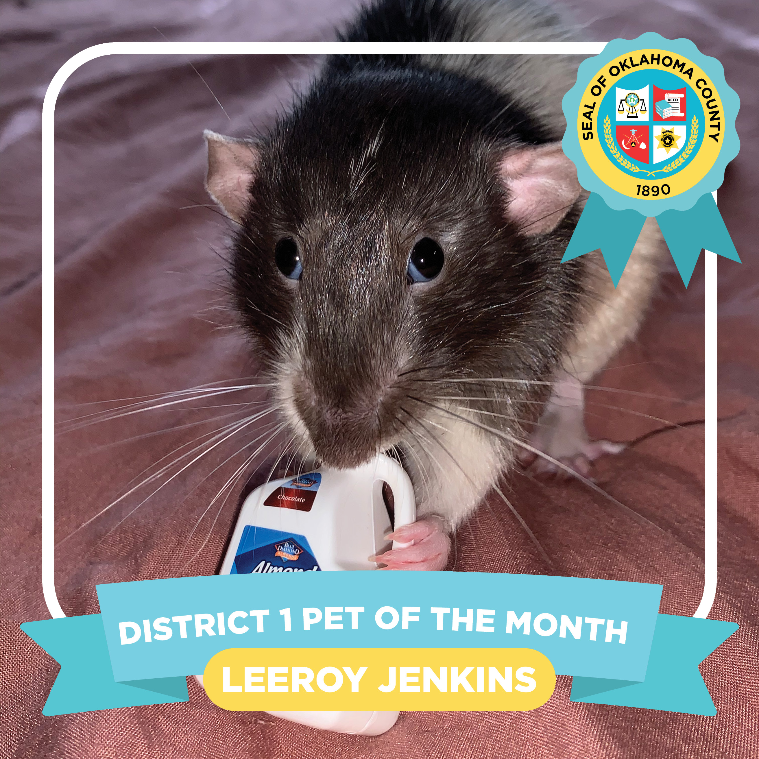 Meet Leeroy Jenkins