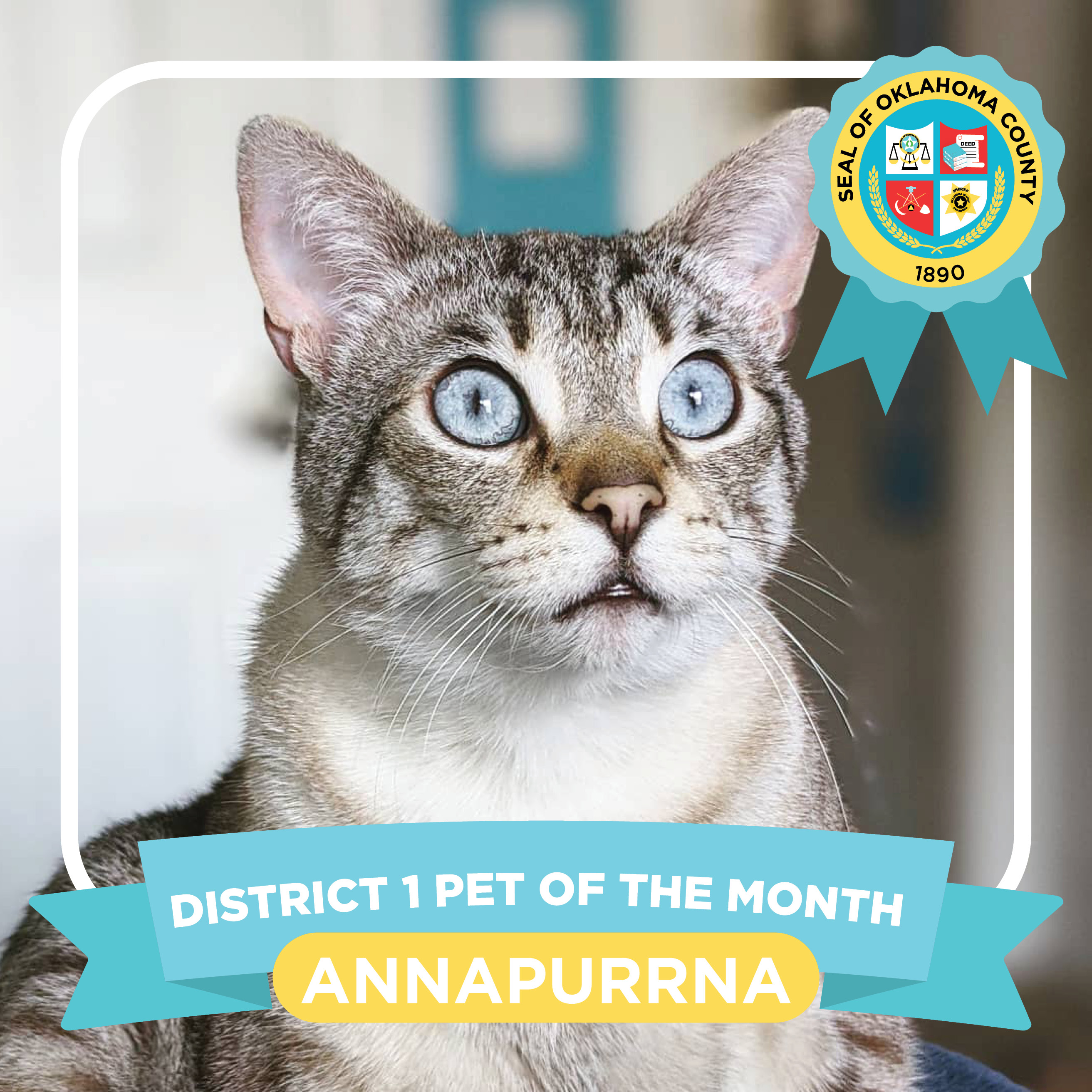 Meet Annapurrna